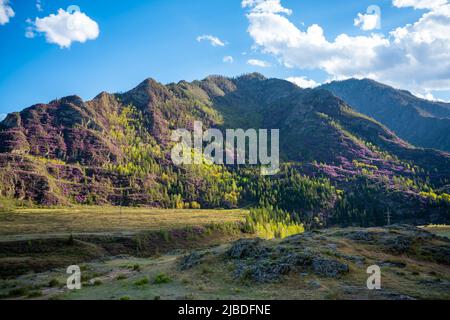 Tratto Chuysky. Vista dalla strada di montagna con splendide viste ad Altai, Russia. Foto di alta qualità Foto Stock