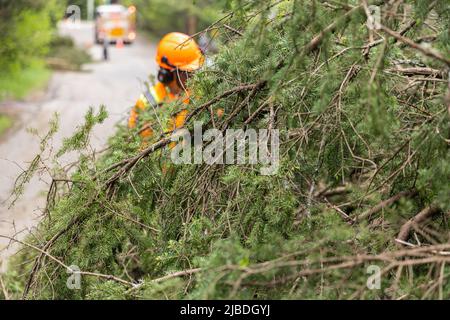 Fuoco selettivo di un albero caduto che ostruisce l'autostrada dopo la tempesta potente, roadworker blurry visto indossare vimini alto in background con spazio copia. Foto Stock