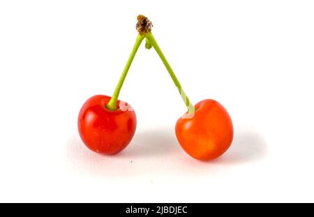Ciliegie rosse isolate su bianco Foto Stock