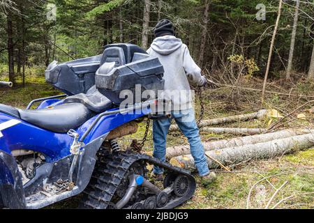 Il lavoratore forestale è visto dalla parte posteriore, in piedi dietro una quad blu, che tiene la catena di trenino usato per spostare gli alberi tagliati in legno. Con spazio di copia. Foto Stock