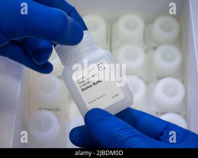 Primo piano, due mani in guanti blu contengono un flacone di reagente chimico bianco, un tampone di dosaggio, un kit di reagenti dalla confezione Foto Stock