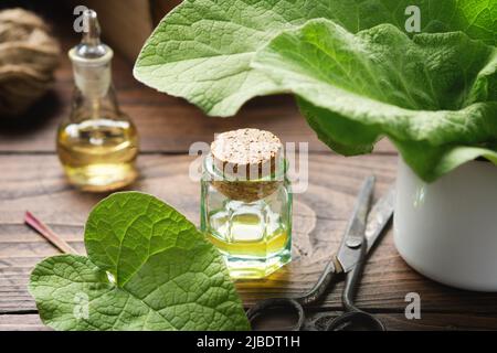 Bottiglie di olio Burr e infusione o tintura Burdock. Foglie di arctium lappa - nome latino per Burdock. Medicina alternativa di erbe. Cura dei capelli. Foto Stock