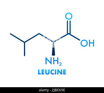 Icona con formula di leucina. Formula molecolare essenziale degli aminoacidi Illustrazione Vettoriale