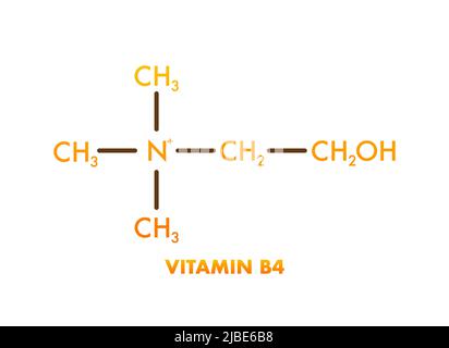 Vitamina B4. Vitamin B4 struttura icona. Illustrazione vettoriale Illustrazione Vettoriale