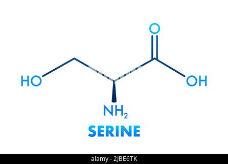Formula serina. Serina o l-serina, Ser, S, molecola amminoacidica. Illustrazione Vettoriale