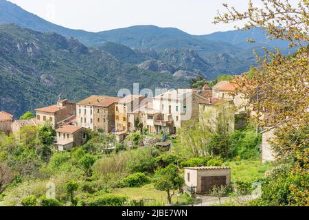 Paesaggio di montagna e villaggio, Ocana, Corsica (Corsica), Corse-du-Sud, Francia Foto Stock