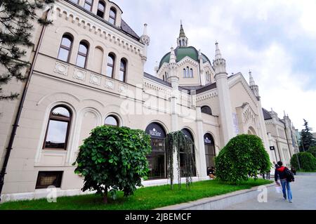 L'Accademia di Belle Arti di Sarajevo, Bosnia ed Erzegovina. Foto Stock