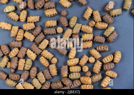 Cibo secco per cani su sfondo grigio. I pellet di forma ovale si trovano casualmente sulla superficie. I pellet sono di colore marrone, beige e verde. Superficie piana. Foto Stock