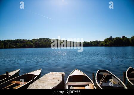 Wesslinger See in Baviera, riserva naturale e biotopo Foto Stock