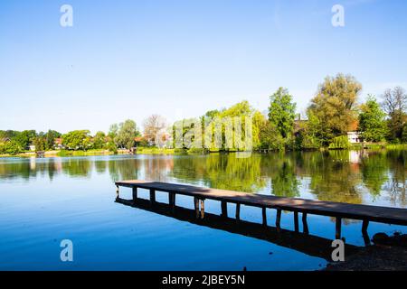 Wesslinger See in Baviera, riserva naturale e biotopo Foto Stock