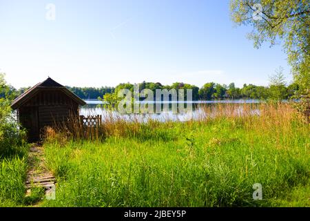 Wesslinger See in Baviera, riserva naturale e biotopo Foto Stock