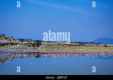 Kenyan Landscapes Lake Magadi è il lago più a sud della Rift Valley del Kenya, situato in un bacino di rocce vulcaniche fagliate, a nord della Tanzania Foto Stock