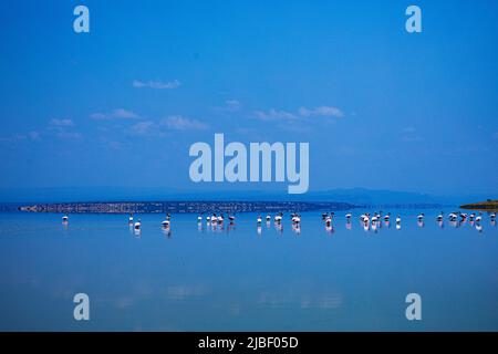 Kenyan Landscapes Lake Magadi è il lago più a sud della Rift Valley del Kenya, situato in un bacino di rocce vulcaniche fagliate, a nord della Tanzania Foto Stock