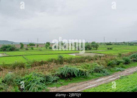 Paesaggio verde da un viaggio in treno. Foto Stock