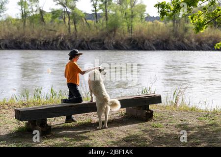 Ragazzo turista giocare con il cane pastore vicino a Mijniskure vicino al fiume Alazani in un bellissimo parco nazionale vashlovani, Georgia Foto Stock