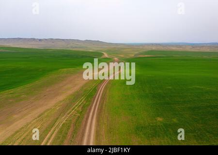 windy road crossing beautiful grassy plains leading to Vashlovani national park, Georgia Foto Stock