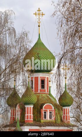 Cupole verdi di chiese ortodosse. La cima della Cattedrale di San Vladimiro attraverso i rami, architettura russa del XVIII secolo. Pereslavl-Z Foto Stock