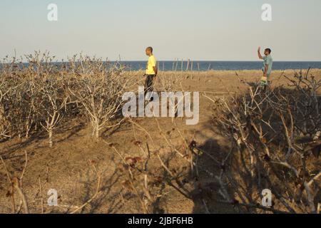 Gli uomini vengono fotografati sul paesaggio costiero, mentre si trovano su praterie asciutte sullo sfondo della spiaggia di Londa Lima a Kanatang, Sumba orientale, Nusa Tenggara orientale, Indonesia. Foto Stock