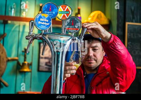 Segull 67 è una piccola birreria artigianale a conduzione familiare situata nel villaggio di pescatori di Siglufjörður, Islanda. Marteinn Haraldsson ha fondato il microbirrificio Segull 67 a Siglufjördur nel 2015 come cambiatore di carriera Segull significa magnete in islandese e l'ago del magnete (nono magnetico) della bussola fa parte del logo Foto Stock