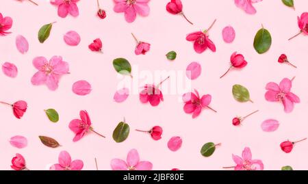 Motivo floreale senza cuciture di melo fiore fiori boccioli foglie e petali su sfondo rosa piatto vista dall'alto Foto Stock