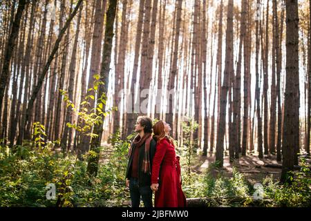 Giovane coppia in piedi tenendo le mani guardando lontano autunno foresta nel parco nazionale in canada Foto Stock