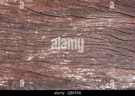 Pannello di legno altamente goffrato, struttura di sfondo vettoriale in legno Foto Stock