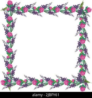 Cornice quadrata di fiori di trifoglio rosa e piante selvatiche viola. Corona, pianta luminosa carina con foglie di shamrock. Decorazioni natalizie per matrimoni, feste, biglietti, poster e design. Illustrazione vettoriale piatta Illustrazione Vettoriale