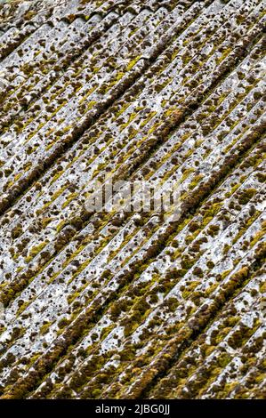 I pericolosi tetti di amianto sono ancora comuni nei partiti della povertà dei Carpazi in Polonia e Ucraina. Mattonella asbestica sul tetto del fienile, Bi Foto Stock