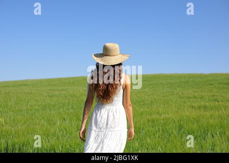 Indietro Visualizza ritratto di una donna con abito bianco e cappello pamela che cammina in campo di grano verde Foto Stock