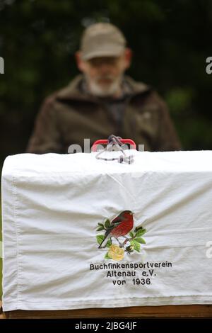 06 giugno 2022, Sassonia-Anhalt, Benneckenstein: Gabbie di uccelli si trovano su panchine per un concorso di finch. Per la manovra finale 2022 a Benneckenstein, sono stati ancora oltre 20 partecipanti e numerosi spettatori. Per oltre 130 anni, la gente di Benneckenstein è stata attratta nella foresta durante la seconda festa di Pentecoste per una competizione che non potrebbe essere più insolita - il concorso di canto dei chaffinches. In gabbie bianche, i cantanti sfumati si affrontano sotto la cura di una giuria esperta per superare i loro avversari cantando il maggior numero possibile di versi. Foto: Matthias Bein/dpa Foto Stock