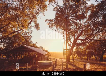 Vecchio mulino a vento arrugginito in una fattoria nella McLaren Valley al tramonto, Australia Meridionale Foto Stock