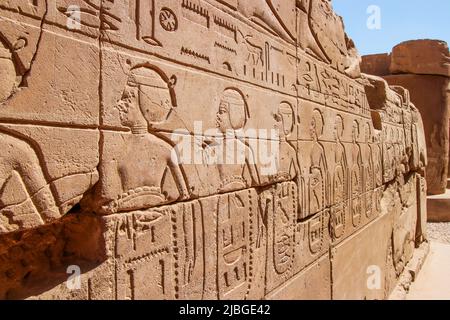 Geroglifici dell'antico Egitto scolpiti sul muro di pietra nel complesso del Tempio di Karnak, Luxor, Egitto (Tebe antiche). Foto Stock