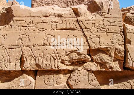 Geroglifici dell'antico Egitto scolpiti sul muro di pietra nel complesso del Tempio di Karnak, Luxor, Egitto (Tebe antiche). Foto Stock