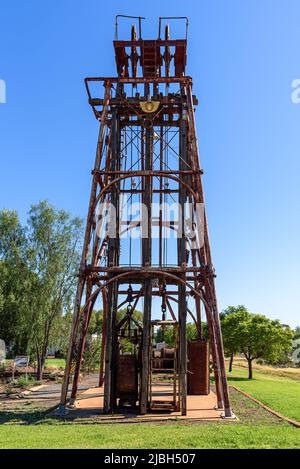 La testa di papavero si trova presso il Cobar Miners Heritage Park Foto Stock