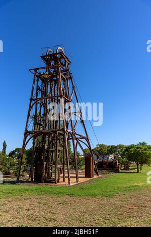 La testa di papavero si trova presso il Cobar Miners Heritage Park Foto Stock