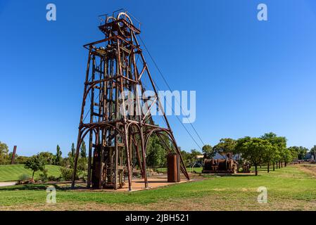 La testa di papavero si trova presso il Cobar Miners Heritage Park Foto Stock