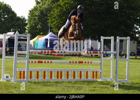 Cavallo e cavaliere a mezz'aria che saltano sopra una recinzione come parte di un giro di show-jumping. Foto Stock