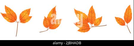 Foglia autunnale testurizzata. Foglia caduta con tessitura motley. Illustrazione Vettoriale