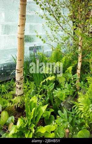 Il Plantman’s Ice Garden, un giardino santuario progettato da John Warland con grandi blocchi di ghiaccio circondati da piante e alberi, tra cui Iris sib Foto Stock