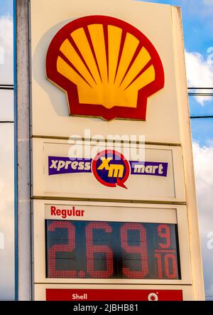 Shell benzina outdoor free standing marchio e logo segno che mostra il prezzo del gas su Foto Stock