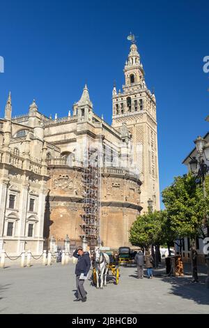 Il Campanile Giralda della Cattedrale di Siviglia la Cattedrale di Santa Maria del See (Catedral de Santa María de la Sede), Siviglia Spagna Foto Stock