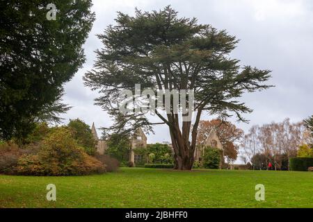 Nymans, West Sussex, Regno Unito: Prato principale e le rovine della casa, danneggiato dal fuoco nel 1947, e lasciato come monumento romantico Foto Stock