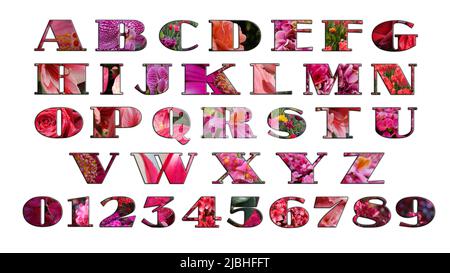 Flowerscript generato da foto da fiori. Le lettere Da A a Z e le cifre da 0 a 9. Foto Stock