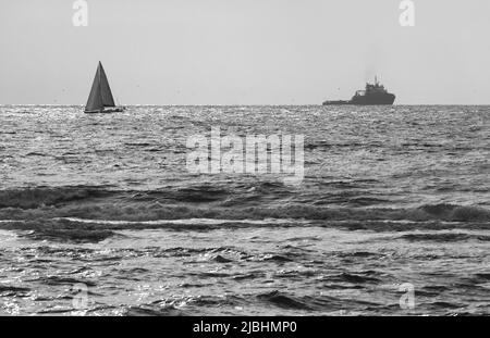 Mare del Nord. Egmond aan Zee, Paesi Bassi. Foto Stock