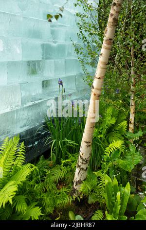 Il Plantman’s Ice Garden, un giardino santuario progettato da John Warland con grandi blocchi di ghiaccio circondati da piante e alberi, tra cui Iris sib Foto Stock