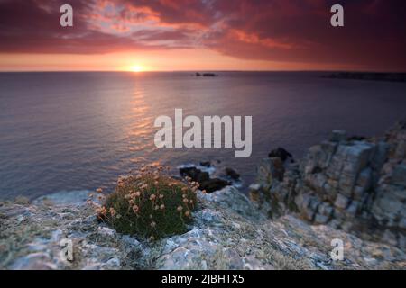 FRANCIA, Bretagna. Finistere (29) Parco Naturale Regionale Armorique, Penisola di Crozon, Camaret-sur-Mer, Pointe de Pen Hir Foto Stock