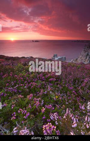 FRANCIA, Finistere (29), Parco Naturale Regionale Armorique, Penisola di Crozon, Camaret-sur-Mer, Pointe de Pen Hir Foto Stock