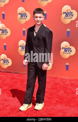 Santa Monica, CA. 05th giugno 2022. Javon 'Wanna' Walton partecipa ai 2022 MTV Movie & TV Awards al Barker Hangar il 05 giugno 2022 a Santa Monica, California. Credit: Jeffrey Mayer/JTM Photos/Media Punch/Alamy Live News Foto Stock