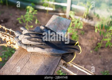 Vecchi guanti da lavoro su ringhiera in legno. Foto Stock