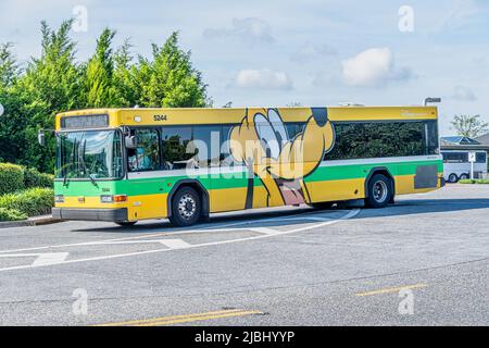 Autobus a tema Disney Transport con Plutone usato per trasportare gli ospiti intorno a Disney World Foto Stock